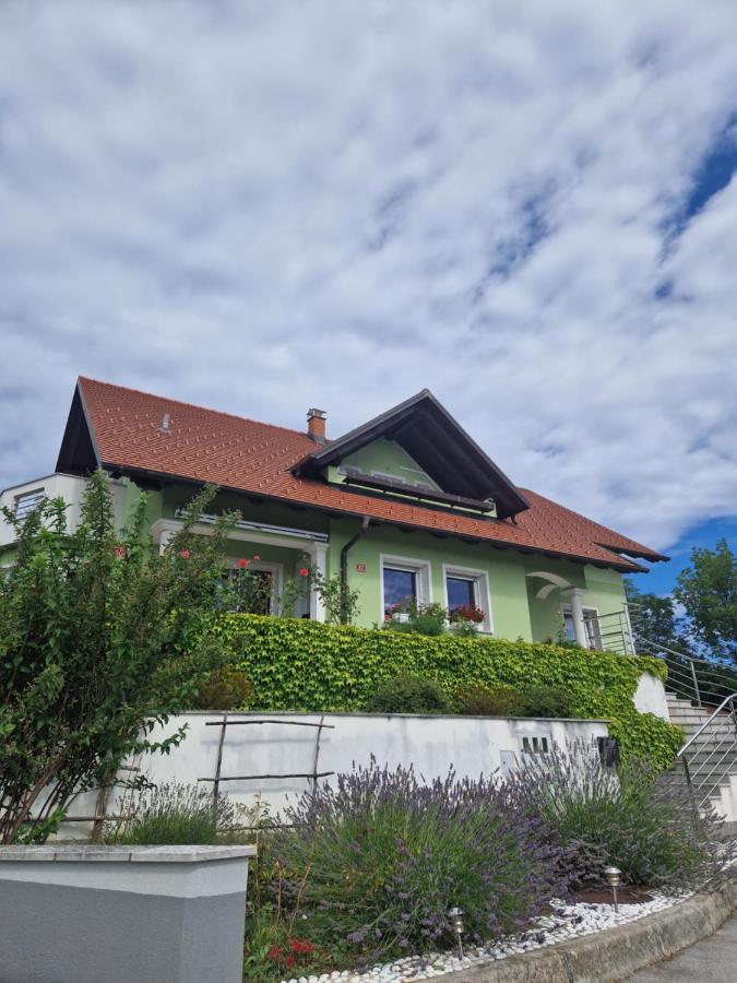 Green House Apartment Pivka Zewnętrze zdjęcie